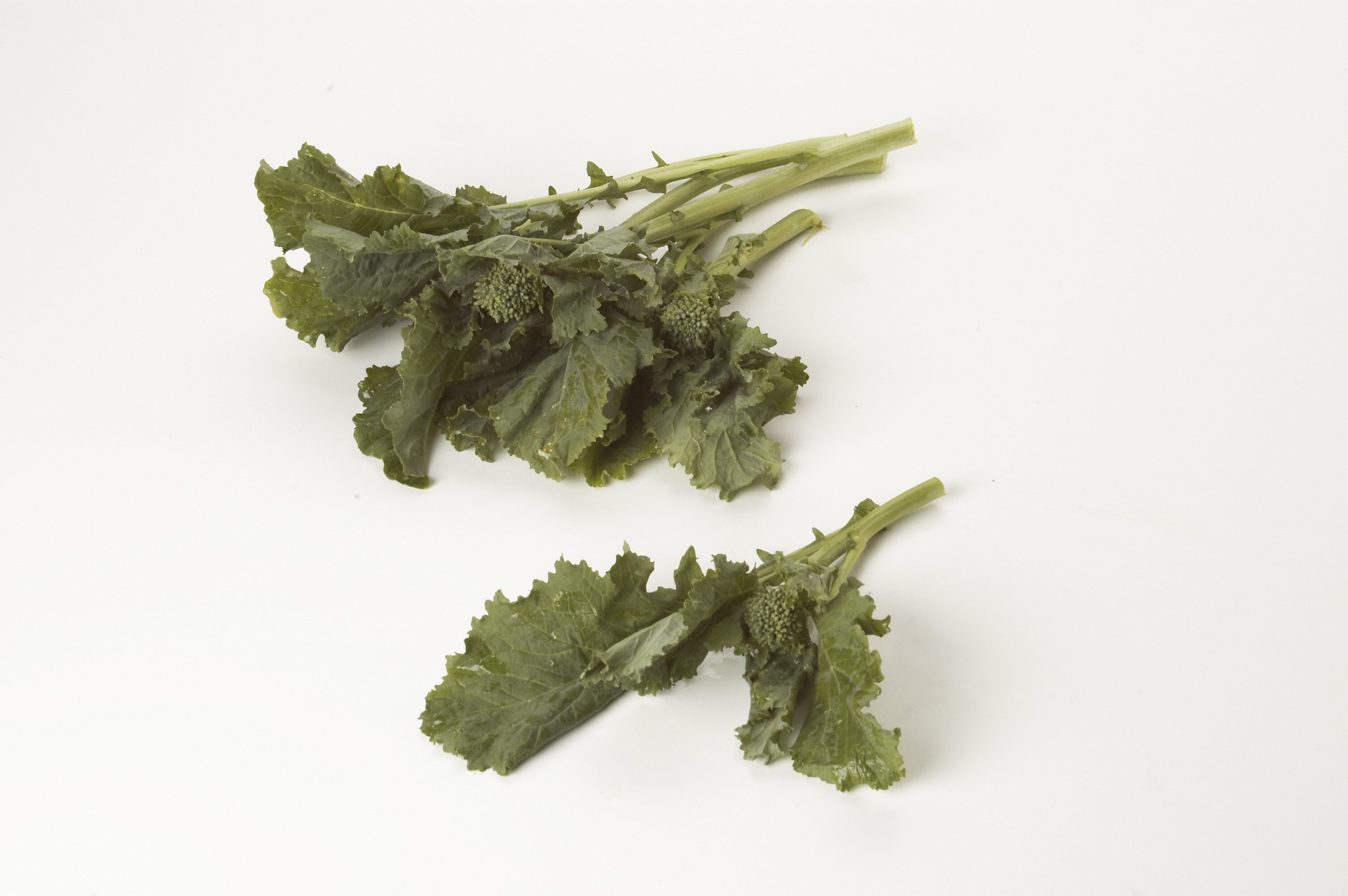 Broccoli Rapini